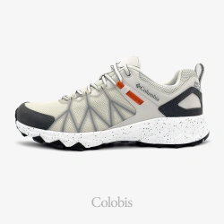 کفش کلمبیا مردانه مدل Columbia Peakfreak II Outdry BM8753-091 