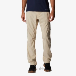 شلوار مردانه کلمبیا مدل Columbia Silver Ridge Utility Pant AM9184-271 