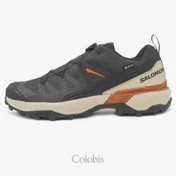 کفش سالومون مردانه مدل Salomon X Ultra 360 GTX L4768700031