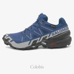 کفش سالومون مردانه مدل Salomon Speedcross 6 GTX L4776490031