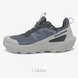 کفش سالومون زنانه مدل Salomon Elixir Activ GTX W L4752650024