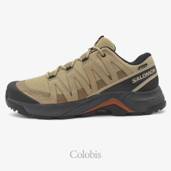 کفش سالومون مردانه مدل Salomon X Adventure Recon GTX L4781310031
