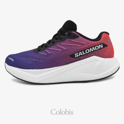 کفش سالومون زنانه مدل Salomon Aero Blaze 3 Gradient W L4787610023