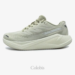 کفش سالومون زنانه مدل Salomon Aero Blaze 3 W L4787480026
